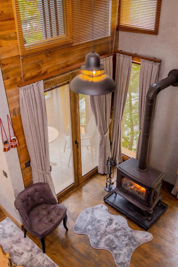 Safir Doga Evleri Chaletu Rize