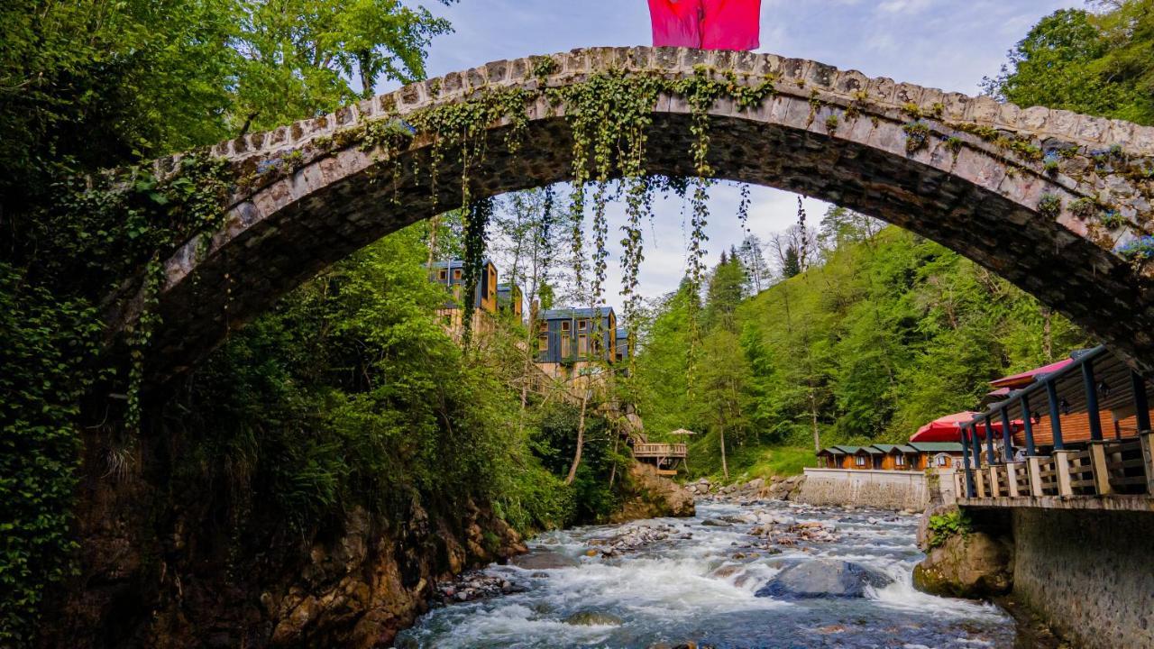 Safir Doga Evleri Chaletu *